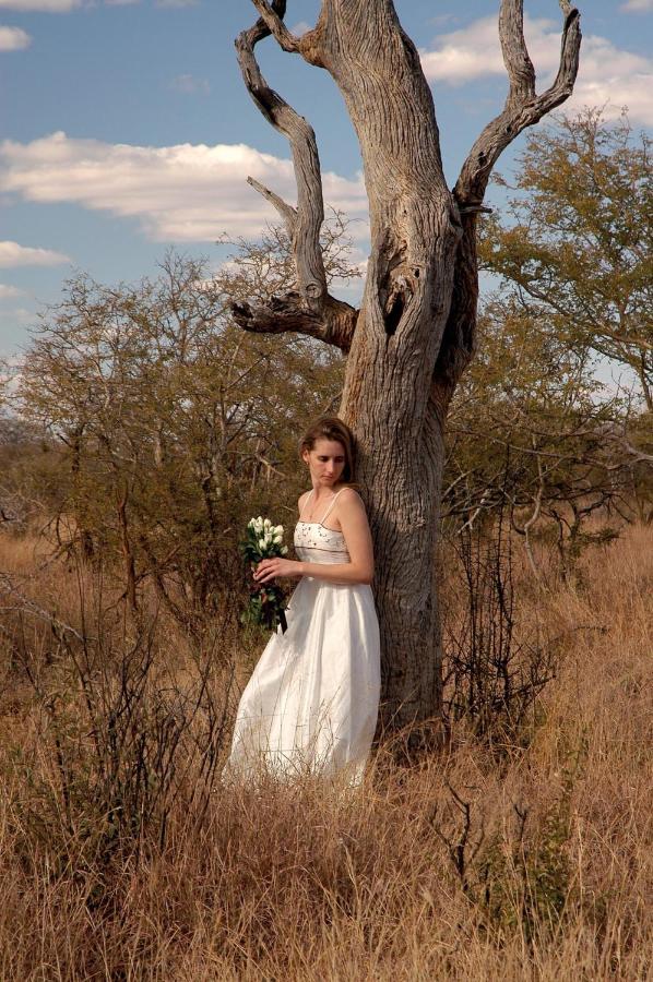 Madikwe Hills Private Game Lodge Madikwe Wildreservaat Buitenkant foto