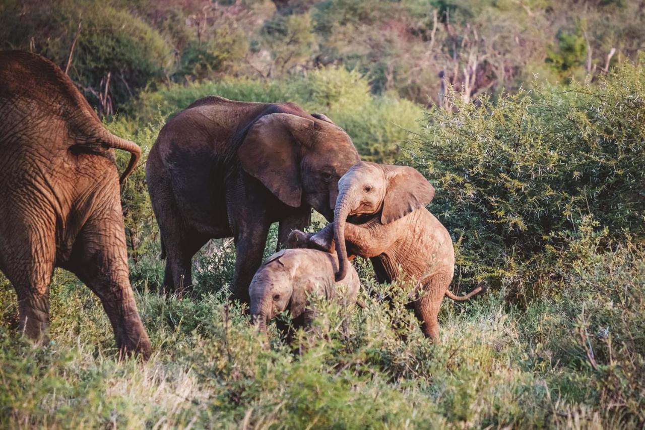 Madikwe Hills Private Game Lodge Madikwe Wildreservaat Buitenkant foto